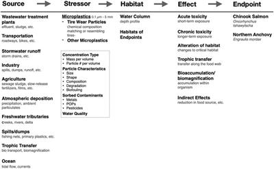 Critical gaps in nanoplastics research and their connection to risk assessment